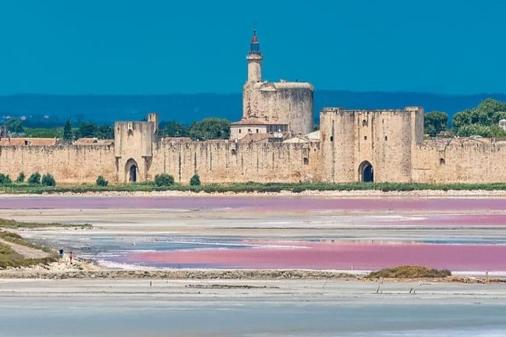 Studio En Petite Camargue Le Cailar 外观 照片